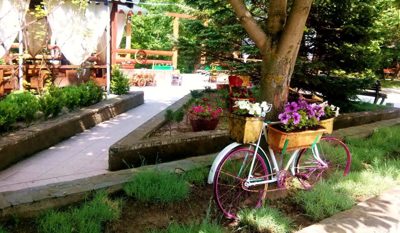 Zabava Guest House Iwano-Frankiwsk Exterior foto